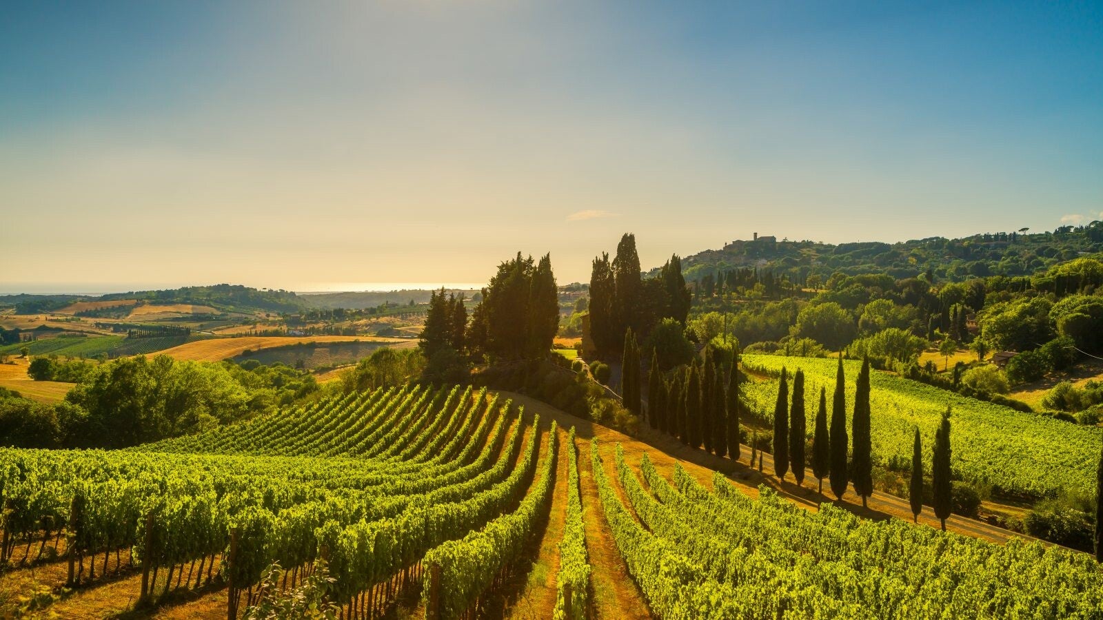 Wijngaarden en het dorp Casale Marittimo in het Toscaanse landschap